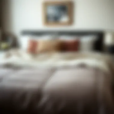 Magnificent Exploring Stylish Bedspreads for Men Magnificent Exploring Stylish Bedspreads for Men