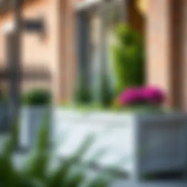 Magnificent Planter Box Clearance: Maximizing Space and Aesthetic Appeal Magnificent Planter Box Clearance: Maximizing Space and Aesthetic Appeal