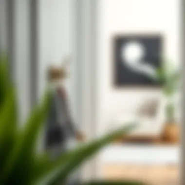 Thoughtful arrangement of adhesive hooks in a stylish entryway