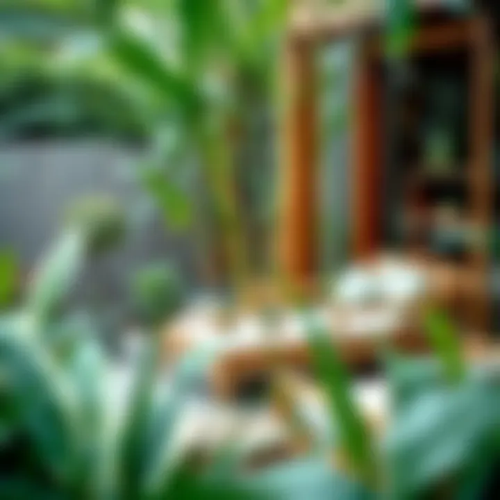 Bamboo furniture in a lush garden setting