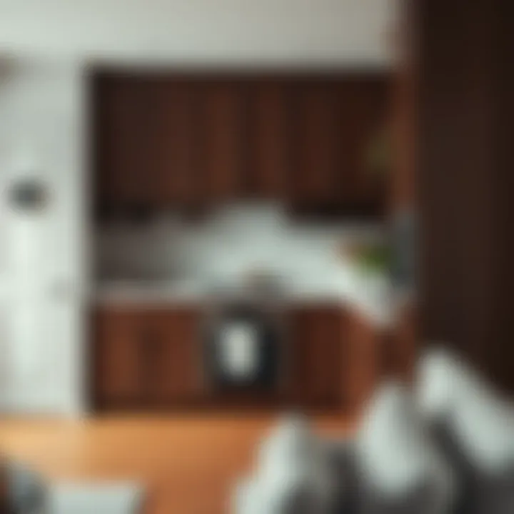 Notable Can I Change My Cabinet Doors? A Comprehensive Examination