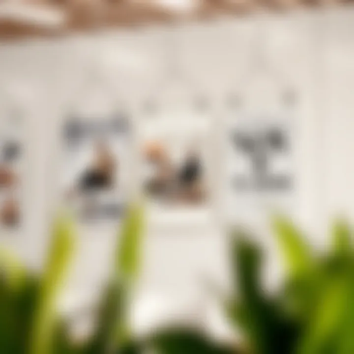 Stylish advertisement displayed using clear poster hangers