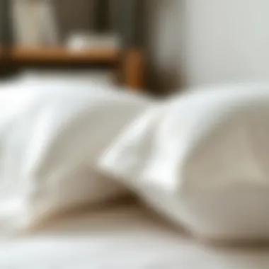 Close-up of a down pillow insert highlighting its fill quality