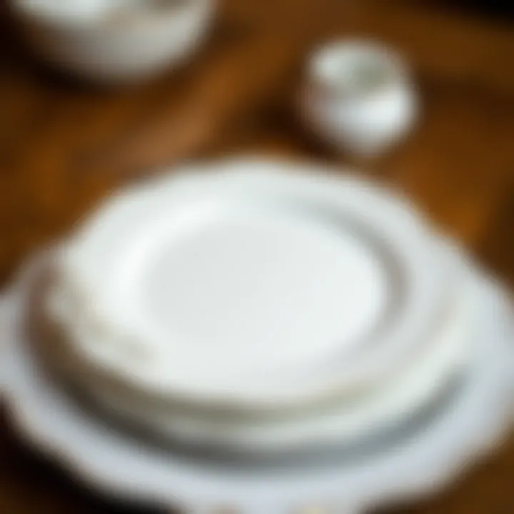 Close-up of the fine craftsmanship in porcelain materials