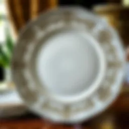 Elegant porcelain dinner plate design showcasing intricate patterns