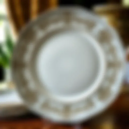 Elegant porcelain dinner plate design showcasing intricate patterns