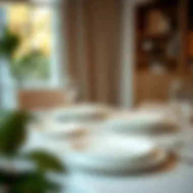 Modern dining setup featuring 9-inch porcelain plates