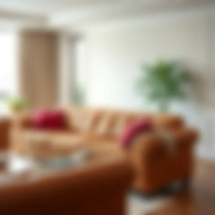 Tips for maintaining sofa covers in a sleek presentation