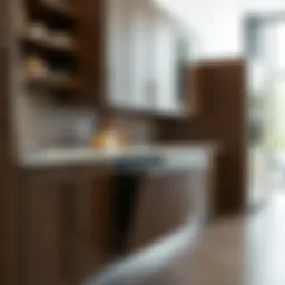 Sleek and modern trash roller design in a cabinet environment