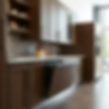 Sleek and modern trash roller design in a cabinet environment