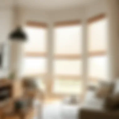 Expert Installation Techniques for Window Blinds Installation of window blinds in a contemporary space