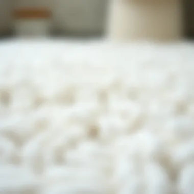 Close-up of soft texture of a white toilet rug