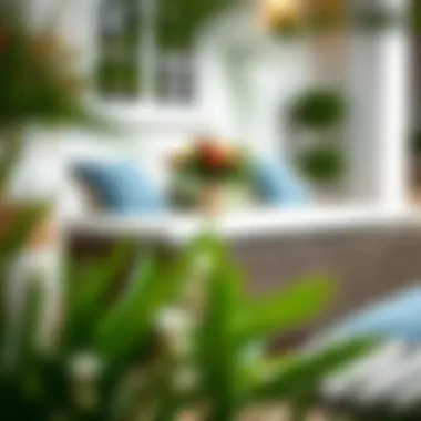 Elegant wicker patio storage chest blending seamlessly with outdoor decor