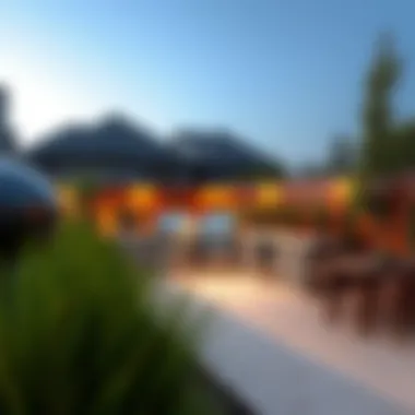Stylish integration of landscaping with outdoor BBQ space