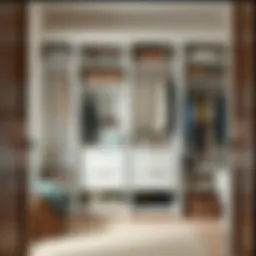 Stylish entryway closet featuring innovative storage solutions