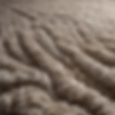 Textured fabric of a luxury half moon rug close-up