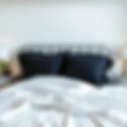Elegant black and white cotton sheets on a stylish bed