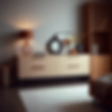 Elegant modern dresser design without drawers showcasing innovative storage solutions