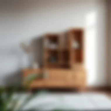 Unique multi-functional furniture piece serving as both dresser and display unit