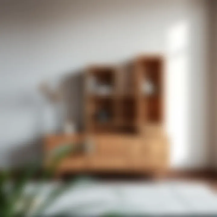 Unique multi-functional furniture piece serving as both dresser and display unit