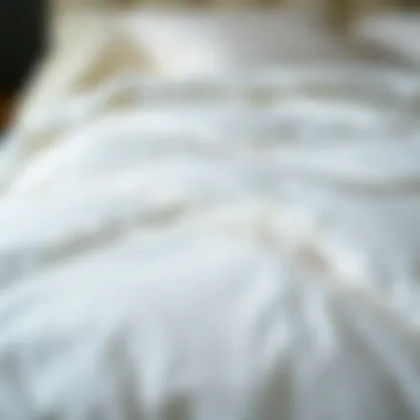 Intricate Stitching on White Quilt Close-up of intricate stitching on a white quilt