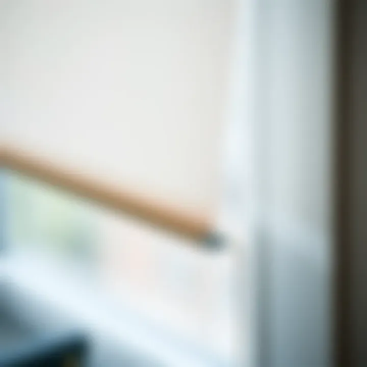 Textural Detail of Fabric Shades Close-up of fabric texture used in top down bottom up shades