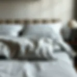 Exploring Fitted Top Sheets for Beds: A Comprehensive Guide Introduction
