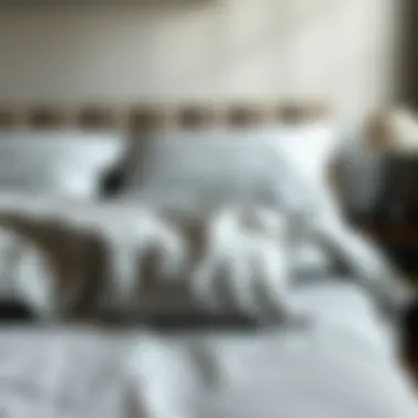 Exploring Fitted Top Sheets for Beds: A Comprehensive Guide Introduction