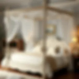 Exploring Full Size Princess Canopy Beds: A Comprehensive Guide Introduction