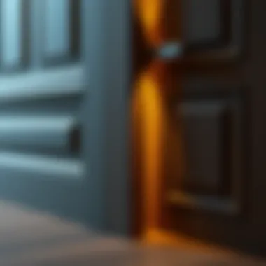 Exploring Durable Material Options for Two-Way Door Stoppers Durable material options for two-way door stoppers