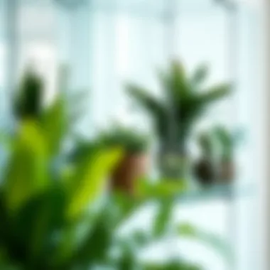 Artistic Plant Arrangements in Glass Trendy plant arrangements inside a glass cabinet