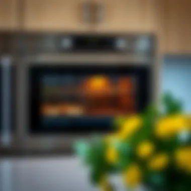 Essential Care: Built-In Oven Maintenance Maintenance tips for built-in ovens displayed in a visually appealing format