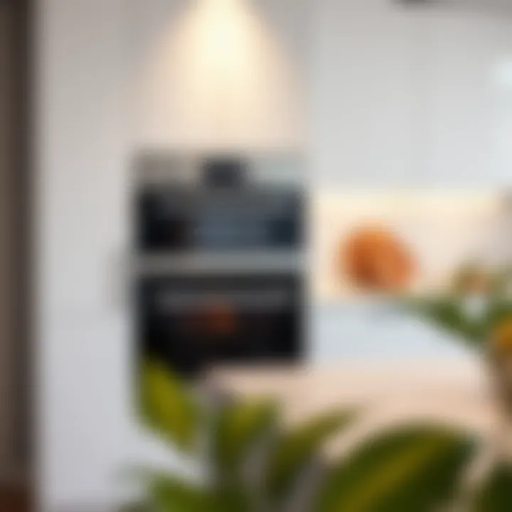 Modern Elegance: Built-In Oven Design Sleek built-in oven seamlessly integrated into modern cabinetry