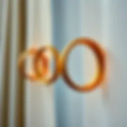 Elegant large curtain rings showcasing a modern design