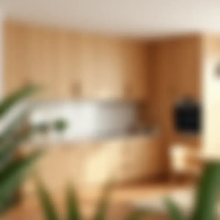 Elegant Light Wood Cabinetry Elegant light wood cabinetry in a contemporary kitchen setting