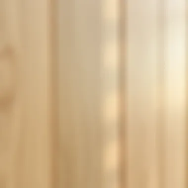 Grain Patterns of Natural Wood A close-up view of the grain patterns in light natural wood