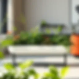 Elegant long decorative planter filled with vibrant greenery