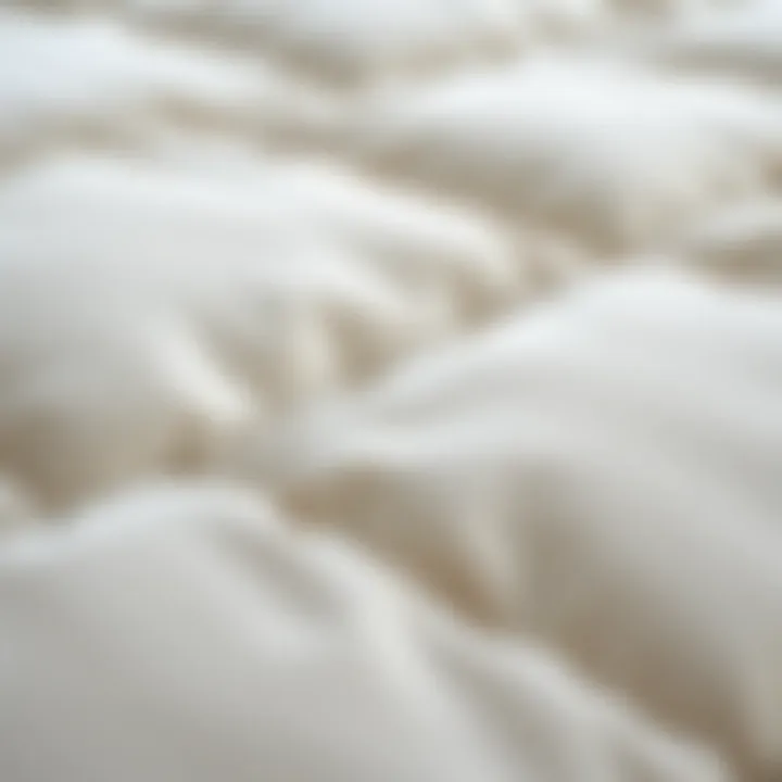 Quality Fabric Texture and Stitching Close-up of quilt stitching and fabric texture showcasing quality