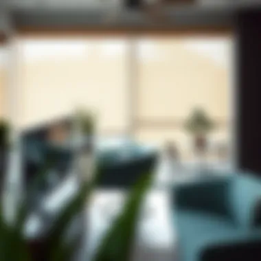 Modern Roller Shades for Optimal Light Control Modern salon featuring roller shades for light control