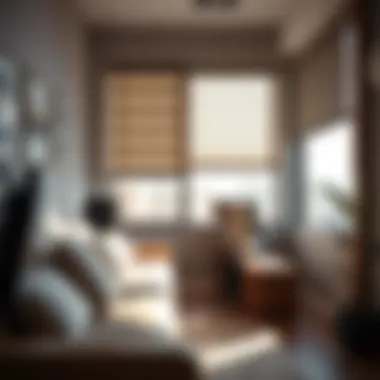 Stylish installation of window shades in a contemporary office