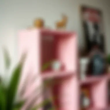 Decorative Display on Pink Cube Shelf Close-up of a pink cube shelf showcasing decorative items