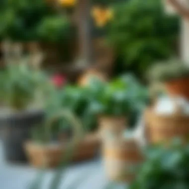 Baskets in Garden Design An outdoor space showcasing baskets integrated into the garden landscape.