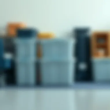 Exploring the Efficacy of Large Plastic Storage Solutions Summary