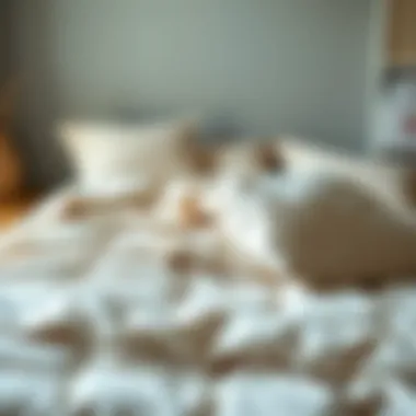 Guide on maintaining the quality of flannel queen duvets with care instructions