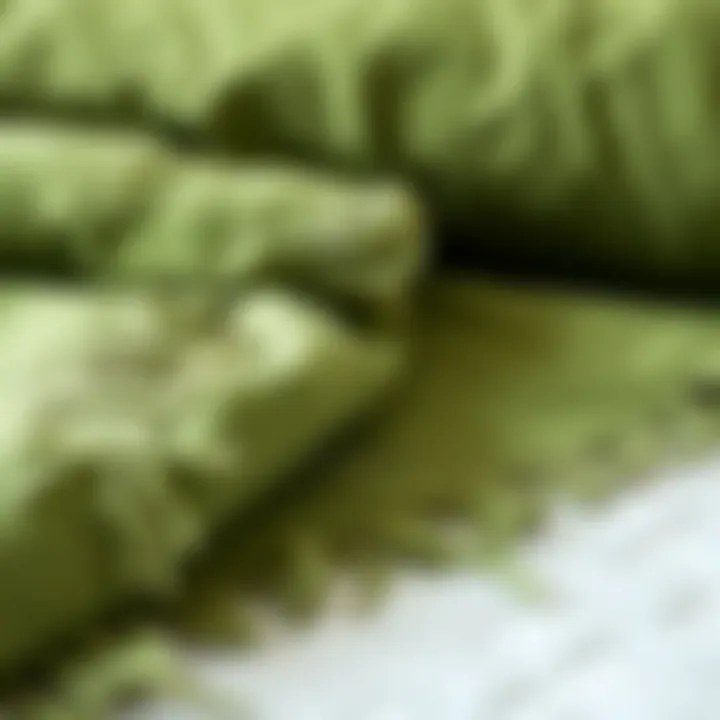 Notable Exploring the Essence of Green Cotton Coverlets