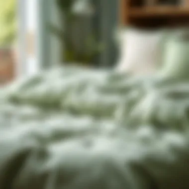 Exploring the Essence of Green Cotton Coverlets Summary Exploring the Essence of Green Cotton Coverlets Summary