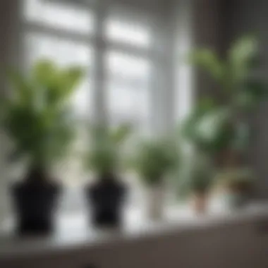 A comparison display of small plastic plants and natural plants in an interior design context.