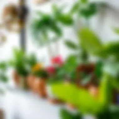 A vibrant collection of indoor potted plants arranged elegantly on a shelf