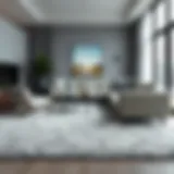 Elegant gray area carpet in a modern living room setting