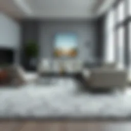 Elegant gray area carpet in a modern living room setting